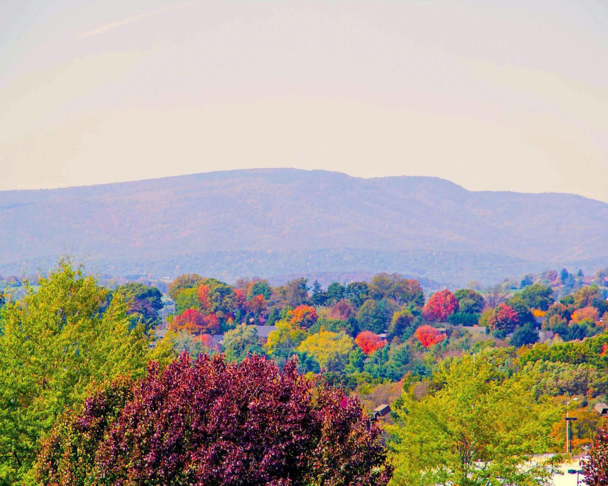 Sleep Inn & Suites Harrisonburg Near University Экстерьер фото